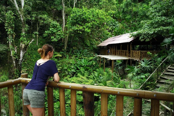 Jungle Stuga Minca Colombia Sydamerika — Stockfoto