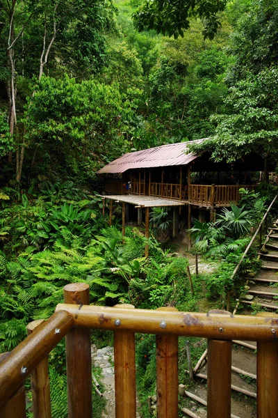 位于哥伦比亚 哥伦比亚 南美洲的 Minca 丛林小屋 — 图库照片