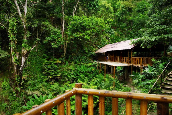 Forest Cottage Minca Colombia Sydamerika — Stockfoto