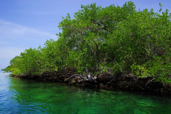 Isla Grande Archipel Rosario Colombie Amérique Sud — Photo