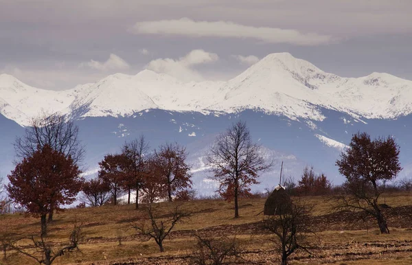 国立公園 Retezat ルーマニア カルパチア山脈 ヨーロッパの冬の高山風景 雪覆われた山の中の風景 — ストック写真