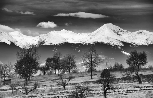 Paisaje Alpino Invernal Parque Nacional Retezat Cárpatos Rumania Europa Nieve — Foto de Stock