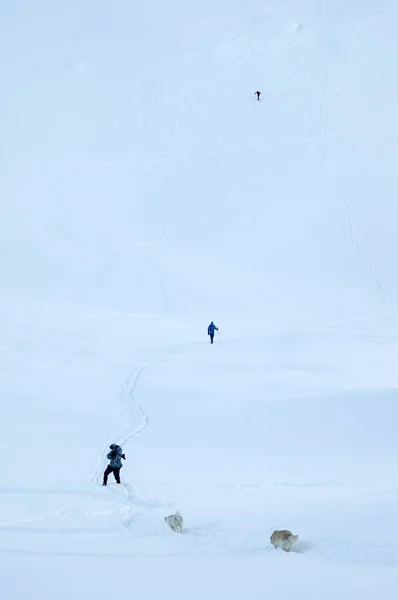 Trekking Drsných Zimních Podmínek Zimní Alpskou Krajinu — Stock fotografie