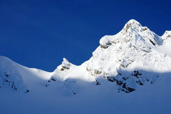 Transilvanya Alps Romanya Için Güzel Karla Kaplı Dağlar Dağlarda Alpin — Stok fotoğraf