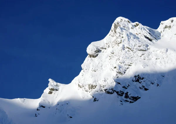 Transilvanya Alps Romanya Için Güzel Karla Kaplı Dağlar Dağlarda Alpin — Stok fotoğraf