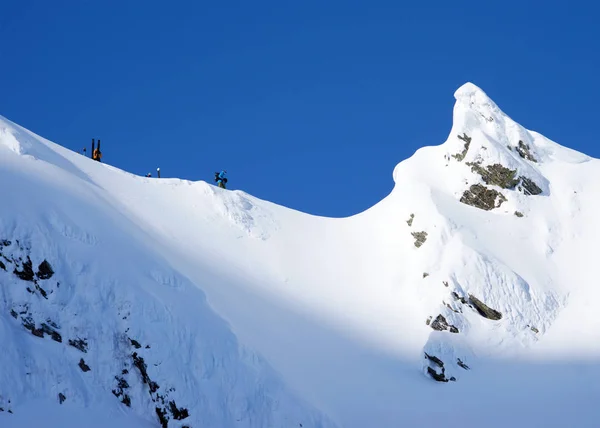 Ski Randonnée Dans Des Conditions Hivernales Difficiles — Photo