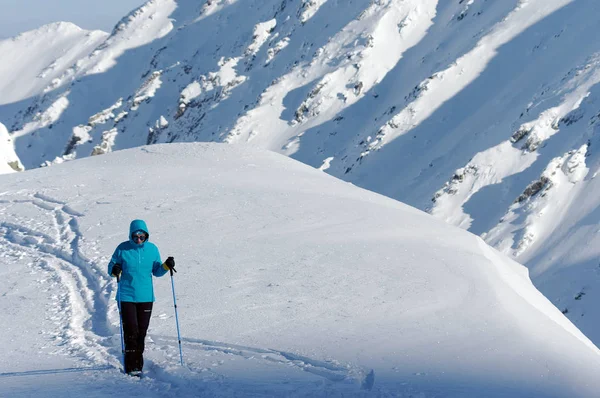 Wandeltochten Strenge Winter Voorwaarde Alpine Winterlandschap — Stockfoto