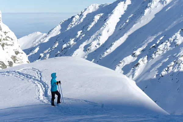 Trekking Condições Rigorosas Inverno Inverno Paisagem Alpina — Fotografia de Stock