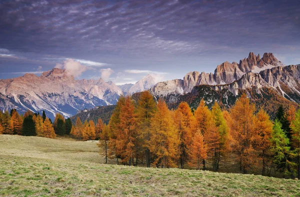 Panoramautsikt Över Solnedgången Över Cima Ambrizzola Croda Lago Dolomiterna Bergen — Stockfoto