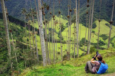 Fotoğrafçı Cocora Vadisi,: Salento, Kolombiya, Güney Amerika