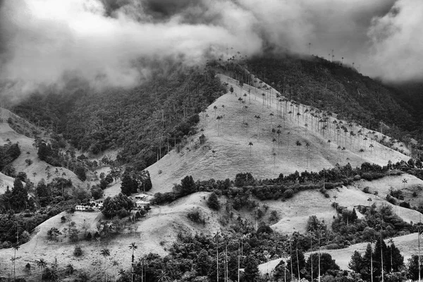 Paesaggio Nuvoloso Della Valle Cocora Salento Colombia Sud America — Foto Stock