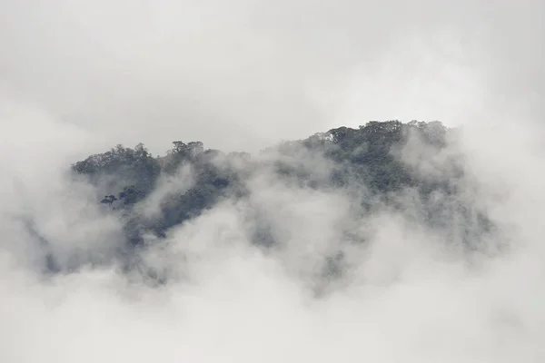 Paisaje Nublado Del Valle Del Cocora Salento Colombia América Del — Foto de Stock