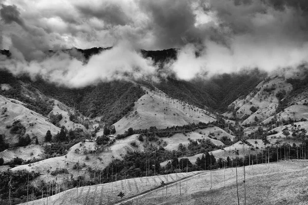 Valle Del Cocora Salento Colombia Sud America — Foto Stock