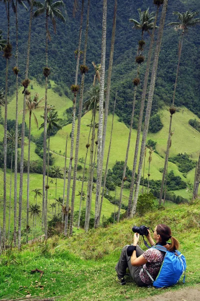 Fotograaf Cocora Vallei Salento Colombia Zuid Amerika — Stockfoto