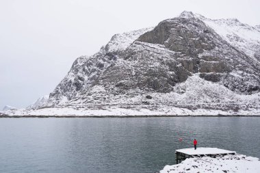 Lofoten Takımadaları 'nda kış sert peyzaj, Norveç, Avrupa