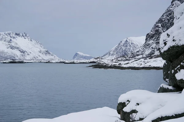 Winter Harsh Landscape Lofoten Archipelago Norway Europe — Stock Photo, Image