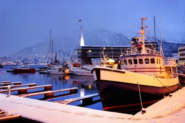 Tromsø Limanı, Norveç, Avrupa. Tromsø dünyanın en kuzeyindeki şehir olarak kabul edilir