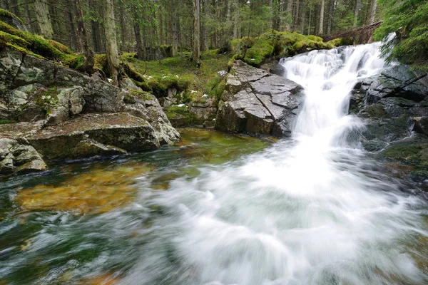 瀑布在雷特扎特国家公园 罗马尼亚 — 图库照片