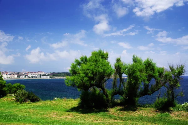 Paisagem Verão Costa Cantábrica Santander Espanha Europa — Fotografia de Stock