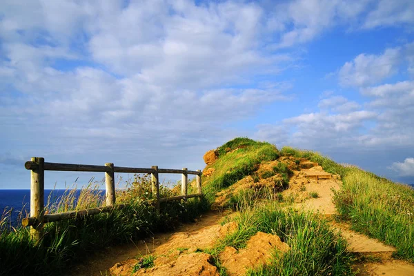 Paesaggio Estivo Della Costa Cantabrica Santander Spagna Europa — Foto Stock