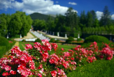 La Granja de San Ildefonso Kalesi Bahçeleri, Segovia, İspanya, Avrupa
