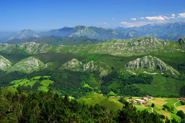 Ορεινό Τοπίο Στο Εθνικό Πάρκο Picos Europa Ισπανία Αστούριας — Φωτογραφία Αρχείου