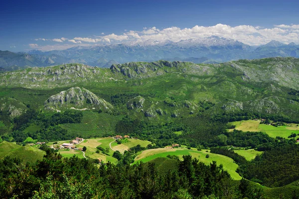 Καλοκαιρινό Αλπικό Τοπίο Στο Εθνικό Πάρκο Picos Europa Ισπανία Αστούριας — Φωτογραφία Αρχείου