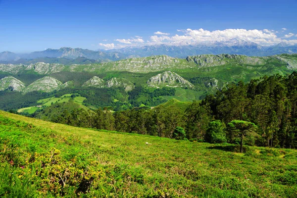 西班牙阿斯图里亚斯皮科斯德欧罗巴国家公园的山景 — 图库照片