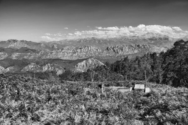 Summer alpine landscape in the Picos de Europa national park, Spain, Asturias