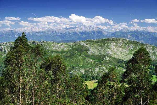 ピコス エウロパ国立公園の夏の高山風景 スペイン アストゥリアス — ストック写真