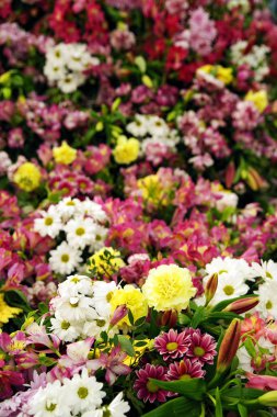 Yaz çiçekleri arka plan soyut görüntü