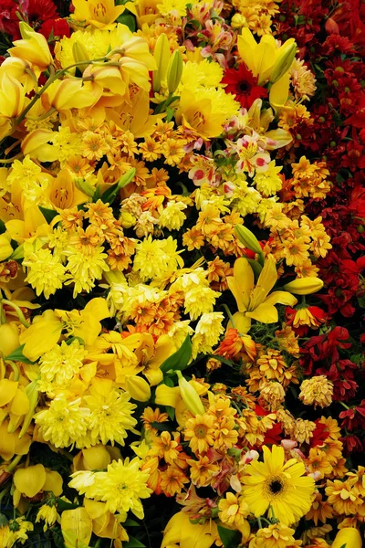 Αφηρημένη Εικόνα Του Καλοκαιριού Λουλούδια Φόντο — Φωτογραφία Αρχείου