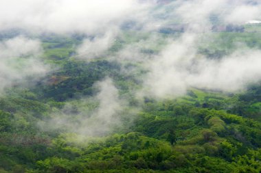 Kahve ve muz plantasyonları Buenavista, Antioquia, Colombia yakınındaki tepeler kaplı