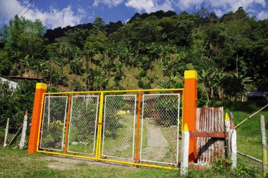 Orman yolu Cordiliera Merkez, Kolombiya, Güney Amerika