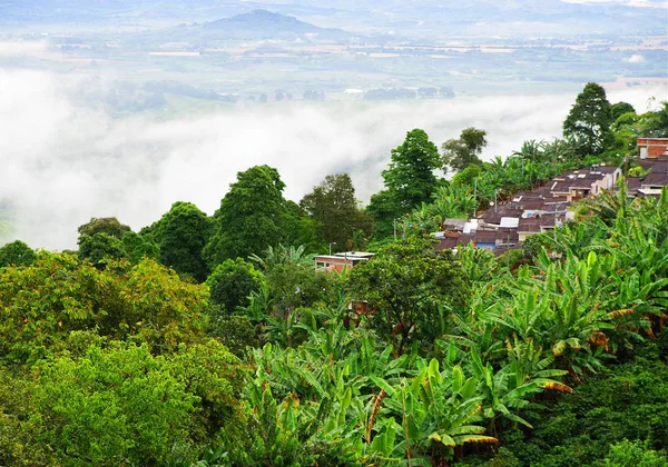 Colinas Cubiertas Plantaciones Café Banano Cerca Buenavista Antioquia Colombia — Foto de Stock