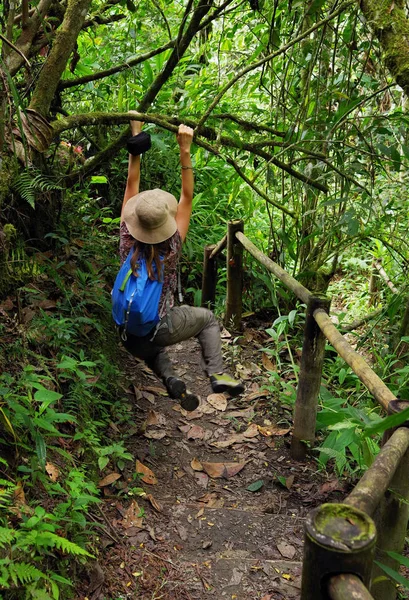 Jungle path in Cordiliera Central, Colombia, South America