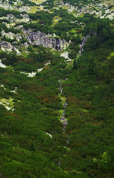 雷特扎特山的春季景观 罗马尼亚 — 图库照片