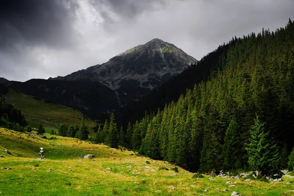 Frühlingslandschaft Retesat Gebirge Rumänien Europa — Stockfoto
