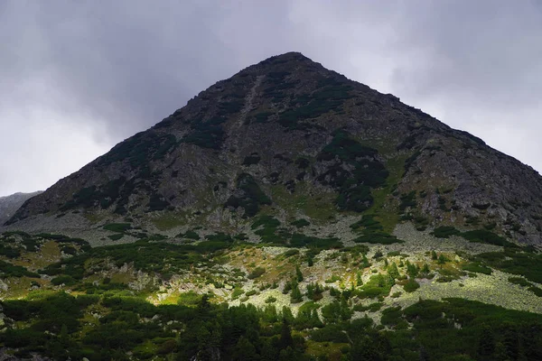 Madeira Serrada Retezat Mountains Roménia Europa — Fotografia de Stock