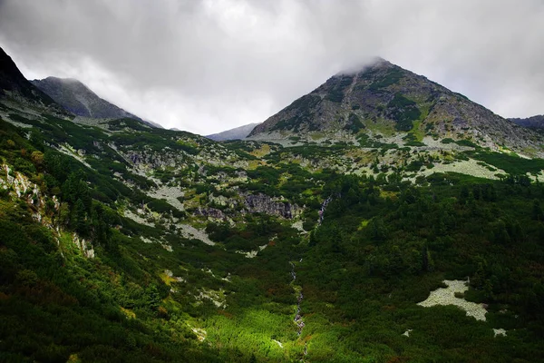 Frühlingslandschaft Retesat Gebirge Rumänien Europa — Stockfoto