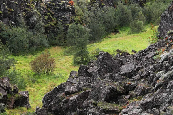 Pingvellir Ulusal Parkı Zlanda Avrupa — Stok fotoğraf