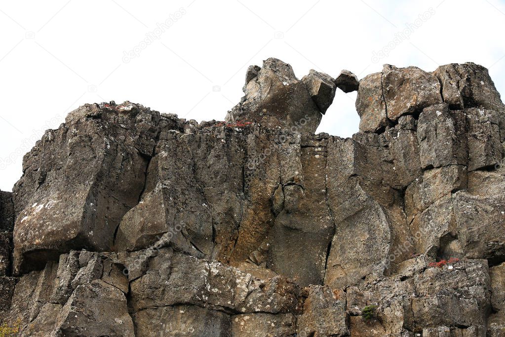 rechitansorin