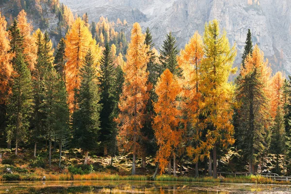 Vista Maravilhosa Outono Com Céu Colorido Majestoso Monte Rochoso Árvores — Fotografia de Stock
