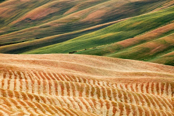 Пейзаж Тосканы Италия — стоковое фото