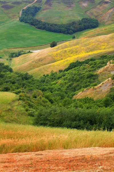 Summer Landscape Tuscany Landscape Italy — Stock Photo, Image