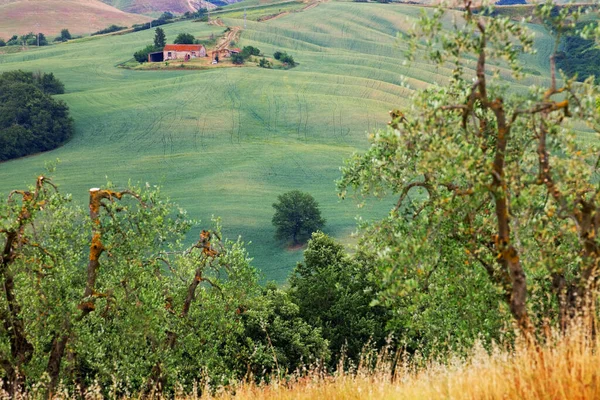 Пейзаж Тосканы Италия — стоковое фото