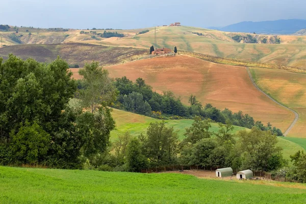 Letni Krajobraz Toskanii Włochy — Zdjęcie stockowe