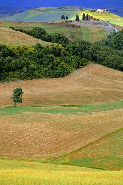 Sommarlandskap Toscana Italien — Stockfoto