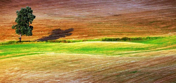 Letní Krajina Toskánska Itálie — Stock fotografie