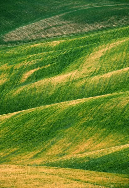 Landskap Toscana Landskap Italien — Stockfoto